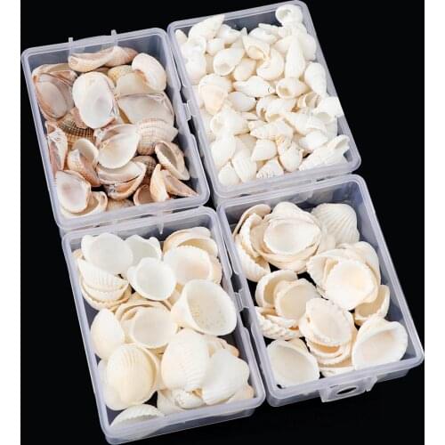 About 28g/Box Natural Mix Shells Mini Conch Corn Screw Wall Decoration DIY Aquarium Landscape Seashells Crafts/Party Decor