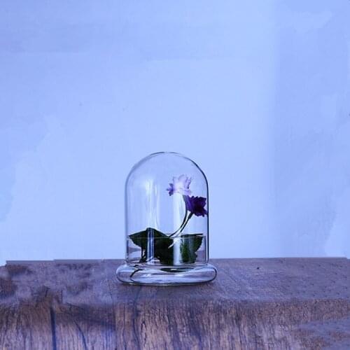 Free Shipping 2sets/pack 8*6cm Mini Size Fission Glass Dome Home Decoration Creative Cover Vase DIY Friend Gift Wedding Prop