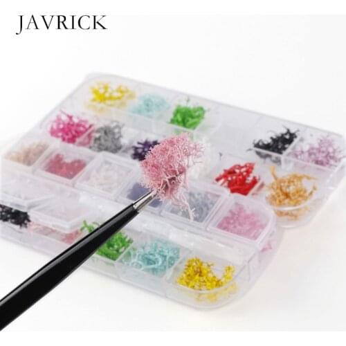 12 Colors Natural Coral Tree Pressed Dried Flower Nail Art Resin Craft Tool DIY Pendant Accessories Jewelry Making Tool