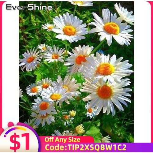 EverShine 5D Diamond Painting Full Drill Square Daisy Diamond Mosaic Paintings Flowers Diamond Embroidery Cross Stitch Kits