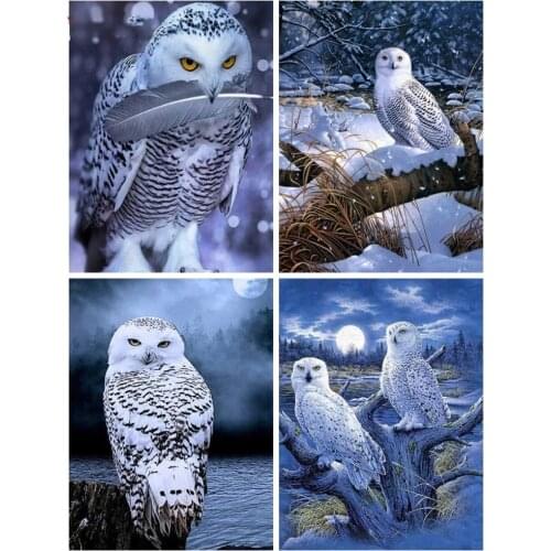 5D DIY Full Square/Round Diamond Embroidery Rhinestone Paintings Owl Animal Cross Stitch Home Décor Art Hanging Pictures Gift