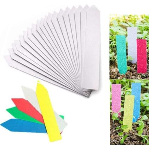 50pcs 100pcs Reusable PVC Plants Labels Hang Tag Tree Fruits Flower Pot Waterproof Markers Sign Garden Tools tree label