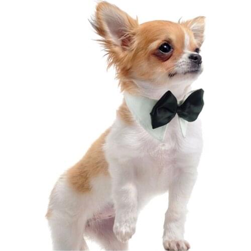 Dog Collar Accessories Pet Cat Tie Adjustable Pet Dog Cat Bow Tie Necktie Tie DogPet Necktie Festival Puppy Kitten Pets Supplies