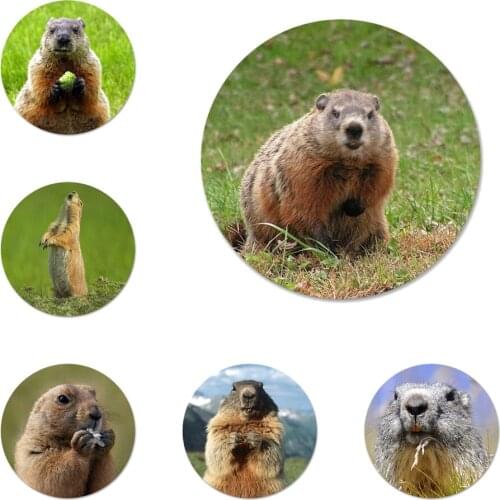 Lovely Groundhog animal Icons Pins Badge Decoration Brooches Metal Badges For Clothes Backpack Decoration 58mm