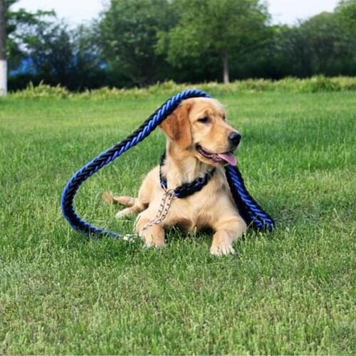 100PCS Upgraded Lead Harness Collar woman High Leash Big Leather Pet Traction Large Dogs Leashes Dog Rope