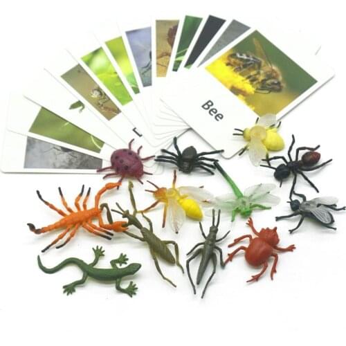 Montessori Infant Toys Poultry Animals Cards Learning Educational Toys for Toddlers Flash Card Juguetes Brinquedos YJ1244H