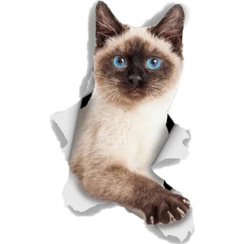 S41027# Various Sizes Funny Self-Adhesive Decal Breakout Siamese Car Sticker Waterproof Auto Decors on Bumper Rear Window