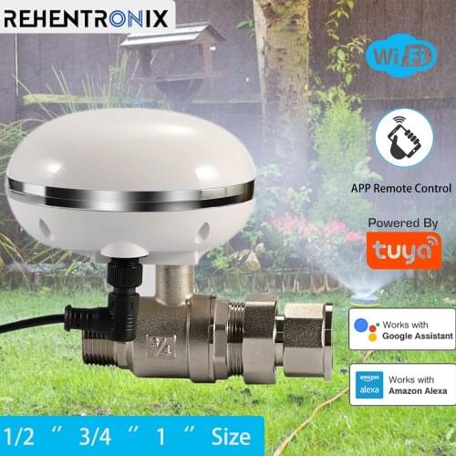 1 inch Pipe Size Home Garden Watering Tuya Smart Life Water Valve Alexa Google Voice Remote Control Kitchen Gas Valve Smart Life