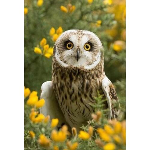 100% Full 5D Diy Daimond Painting Lovely Owl Cross-stitch Christmas 3D Diamond Painting Rhinestones Paintings Embroidery Gifts