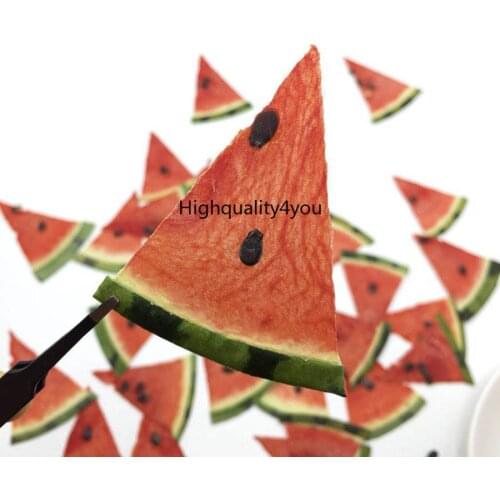 10pcs Dried Pressed Exopy Fruit Watermelon Slices Plant Herbarium Jewelry Photo Frame Phone Case Craft DIY Making Accessory