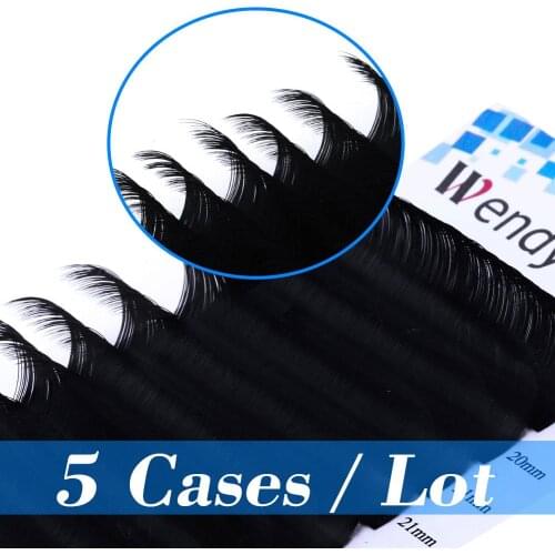 5 Cases 20-25 mm Faux Mink Individual Eyelashes C/D Curl 0.07 Maquiagem Cilios For Professionals Soft Mink Eyelash Extension