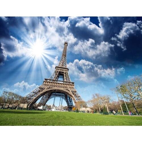 VinylBDS Eiffel Tower Photo Backdrops Blue Sky Wedding Background Photo Studio Sunlight Scenic Photography Backdrops