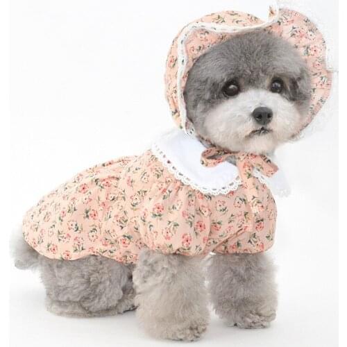 Cute Small Dog Dress Summer Pet Cat Puppy Dresses Skirt Yorkshire Poodle Bichon Pomeranian Shih Tzu Corgi Dog Costume Hat Cap