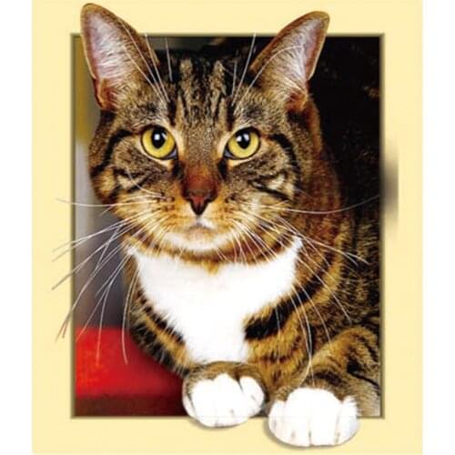 New 5D Diy Diamond Painting Animal Cat&Tigers Cross Stitch Diamond Mosaic Needlework Diamond Embroidery Home Decor Handcraft