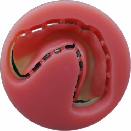 Double Layer Monolithic Dental Milling PMMA Disc Biocompatible Acrylic Hybrid Blanks For Dental Lab Temporary Denture Crown