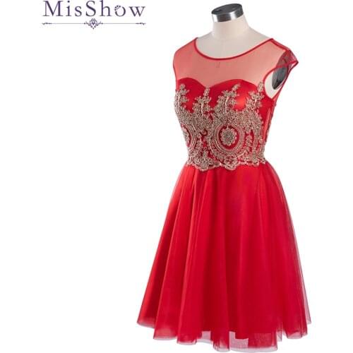 MisShow Fashionable Dresses In A Cage