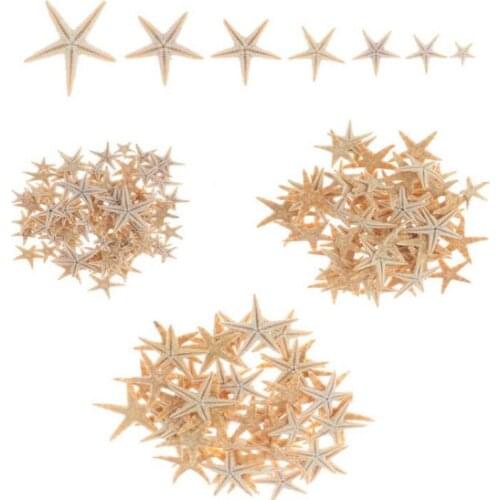 25pcs 1-2cm 2-3cm 3-5cm Mini Starfish Craft Decoration Natural crafts Sea Stars DIY Beach Cottage Wedding Decor hot shells