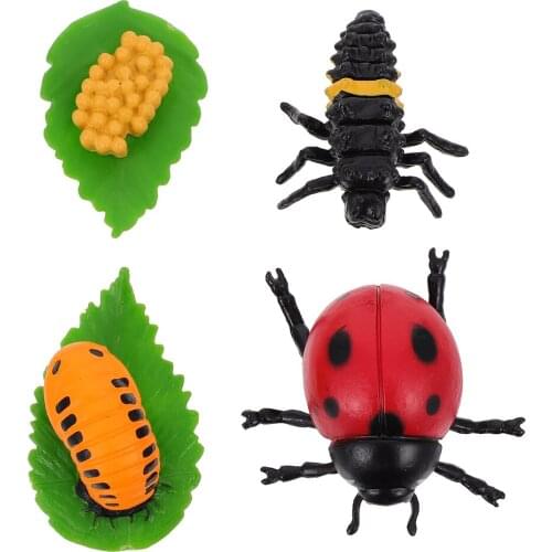 4Pcs Insect Figurines Life Cycle of Ladybug Ornaments Funny Kids Plaything