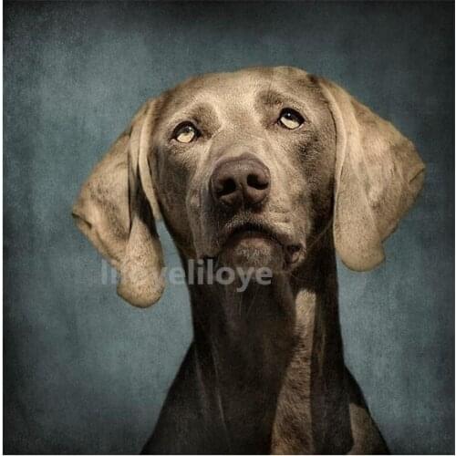 Full Square/Round Drill 5D DIY Diamond Painting Weimaraner dog Embroidery Cross Stitch pictures of Rhinestones Home Decor TY301