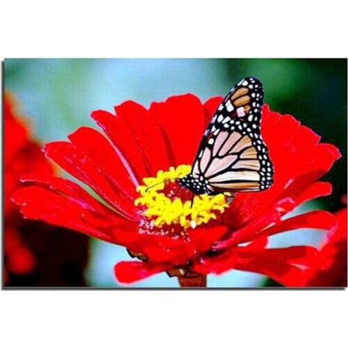 Diy diamond painting butterfly flowers full Diamond embroidery flower 3d square drill rhinestone diamond mosaic Butterfly Love