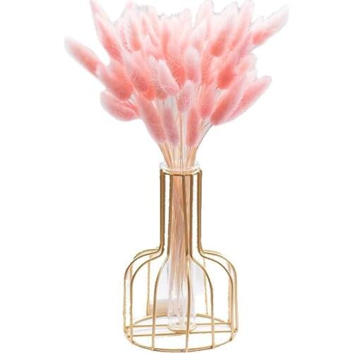 Household beautiful Pink rabbit tail grass starry star air dried flower natural living room vase decoration home