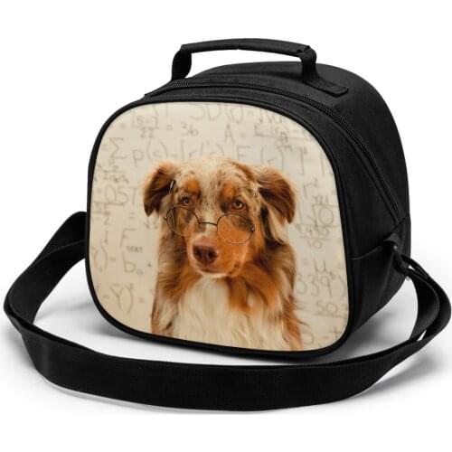 Funny Dogs Portable Lunch Bag New Thermal Insulated Lunch Box Tote Cooler Handbag Bento Pouch Dinner School Childrens meal bag