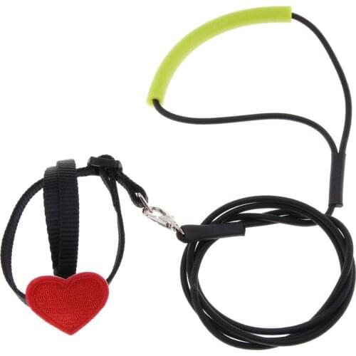 Bird Parrot Harness Leash Pet Rope For Birds Outdoor Training Leash Parrot Bird Leash Bird Harness Leash