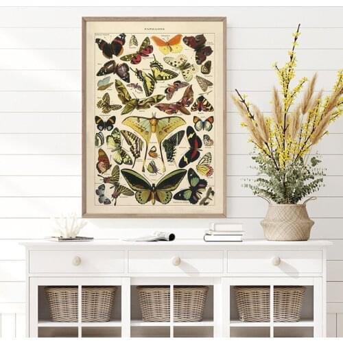 Butterfly Insect Vintage Poster Print Biology Education Wall Art Picture Modern Study Room Decoration Poster Kraft paper