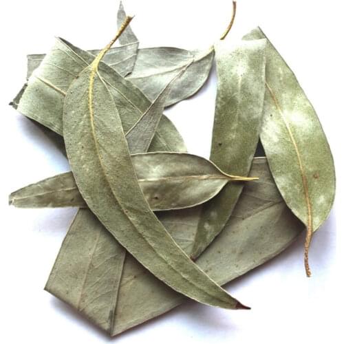 Eucalyptus leaf dried 50 gr-400 gr Free Shipping