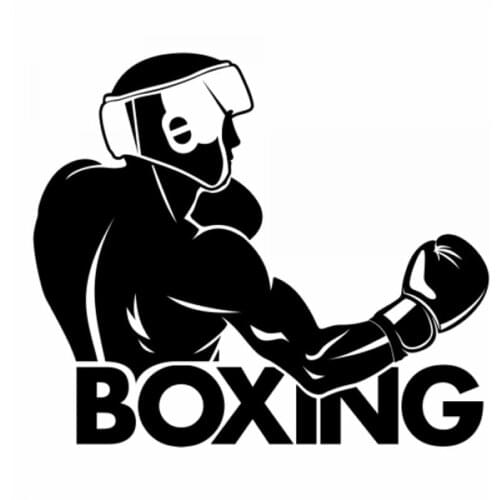 18x16cm Boxing Car Stickers Car Window Black/Silver Glass Body Decoration Decal Accessories CL398