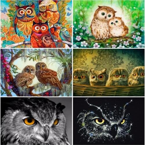 EverShine 5D Diamond Embroidery Owl Full Square Diamond Painting Animal Picture Of Rhinestone Cross Stitch Mosaic Handmade Hobby