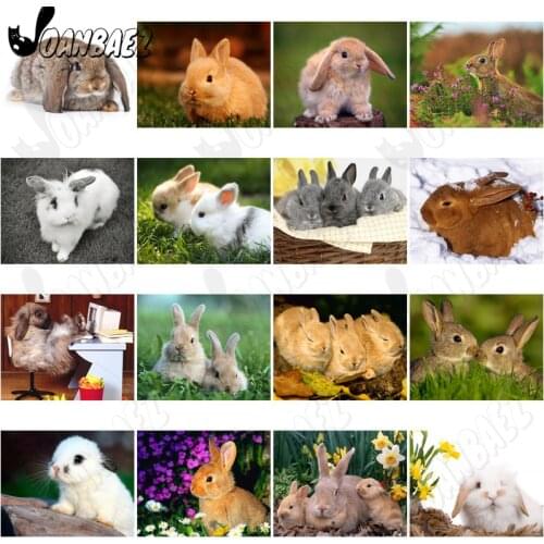 Modern Rabbit In The Grass Diamond Painting 5D Diy Wall Art Cute White Rabbit Flower Diamond Inlaid Poster Room Home Decoration