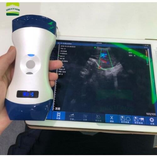 Vet PW color Double probe Wireless Veterinary Ultrasound Scanner Portable Pregnancy Test pig dog Hand Ultrasound Pocket dog