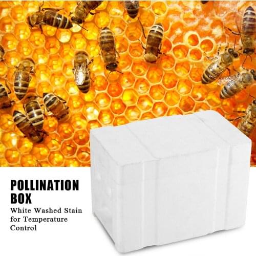 Foam Bee Mating Box with Grid Warmkeeping Waterproof Queen Breeding Case 24.1x15x14.1cm Beekeeping Tools for Pollination C1