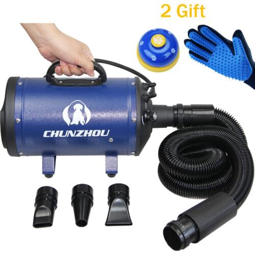 Professional Dog Hair Dryer Pet Secador Asciugatrice Fan Suszarka Grooming Blow Cat Secadora Shoe Gift Pet Brush Glove Dog Toys