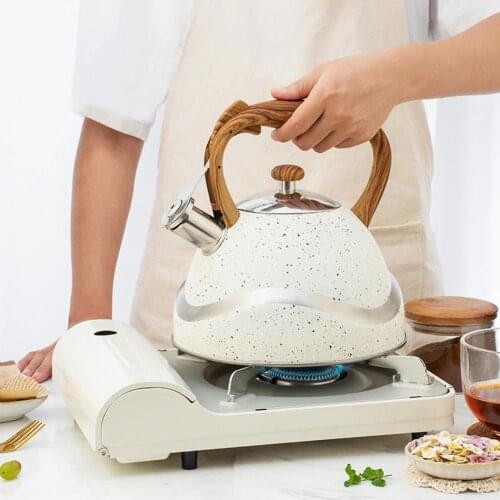 3L Stainless Steel Whistling Tea Kettle Stovetops Enamel Food Grade Tea Pot With Heat-Proof Handle For Gas Induction Cookers