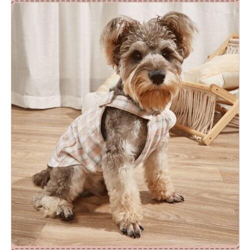 Autumn Winter Dog Skirt Puppy Dress Yorkshire Pomeranian Shih Tzu maltese Bichon Poodle Schnauzer Pug French Bulldog Clothes