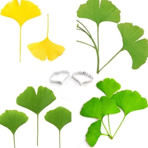 Cookie Cake Mold Stainless Steel Ginkgobiloba Leaf Shape Cutting Mould Ginkgo Leaf Cutter Clay Tools Mould