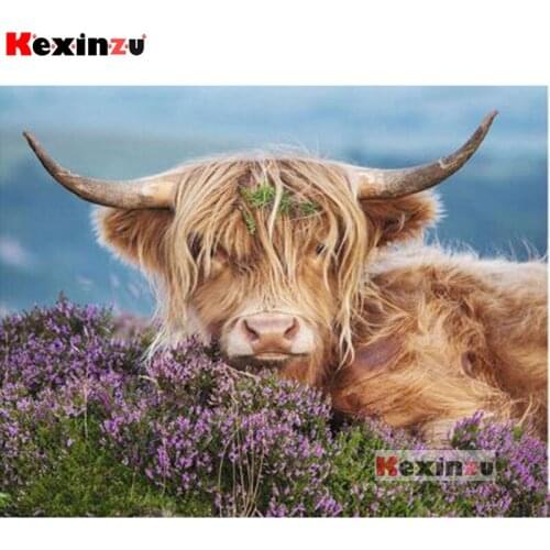 5D Diy Diamond Painting Highland Cow Diamond Embroidery Cross Stitch full square mosaic Rhinoceros Painting 3d Diamond painting