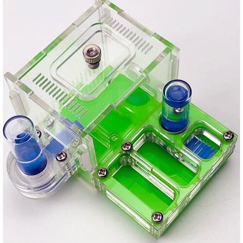 Mini Climbing Pet Ant Farm Acrylic Plane Nest Ant Nest Ant Workshop Horizontal Stripes Hunting Sickle Ant Nest