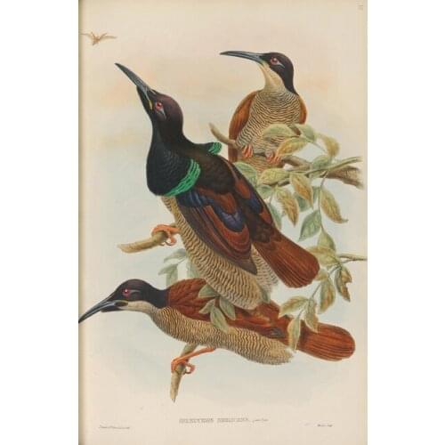 Pastoral animal sharp mouth birds tree scenery set oil painting canvas prints printed on canvas wall art decoration picture