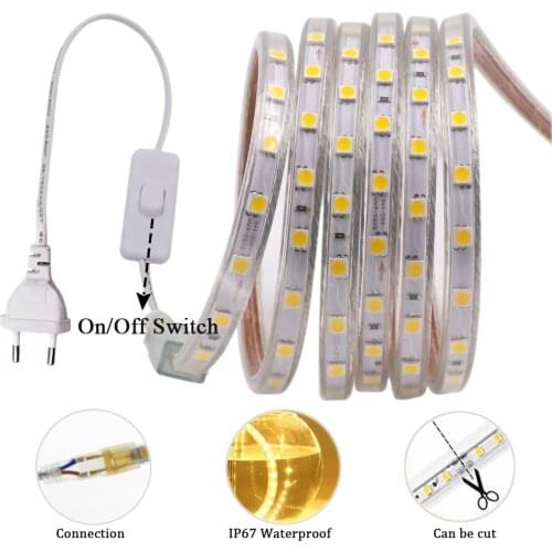 SMD 5050 LED Strip 220V EU Power Plug with Switch Outdoor Waterproof Ribbon 60LEDs/m Flexible LED Light Lamp For Home Decoration
