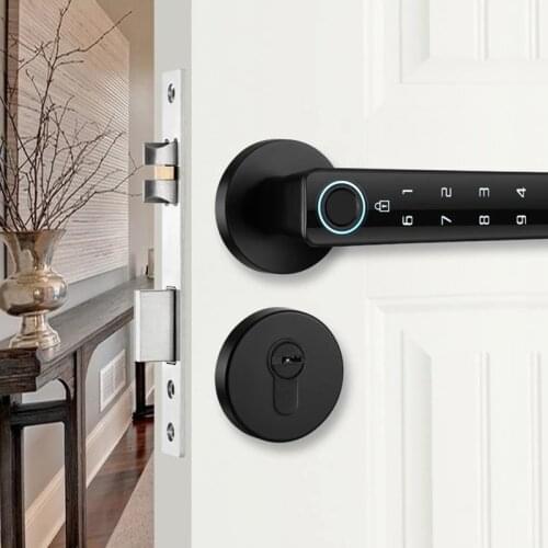 Biometric Fingerprint Password Lock Auto Security Smart Door Lock for Home Electronic Fingerprint Door Lock