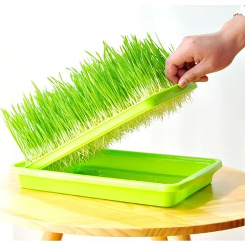 Germination Tool Nursery Pots Bean Sprout Planter Sprouting Tray Small Planting Garden Home Office Plastic 2-Layer Hollow Kit