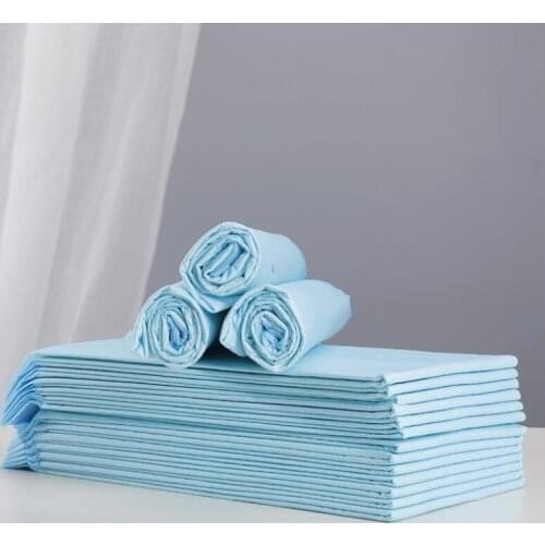 2021 Pet Small and Medium Sized Dog Urine Pad Deodorization Water Absorption Disposable Diaper Cat and Dog Pet Cleaning Products