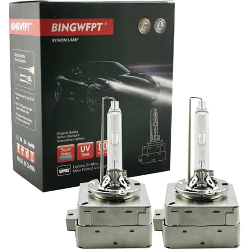 BINGWFPT Xenon Bulbs D2R (P32d-3)