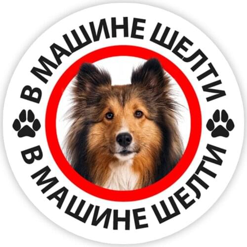 B0243 Poodle in the Car Self-adhesive Decal Car Sticker Waterproof Auto Decors on Bumper Rear Window