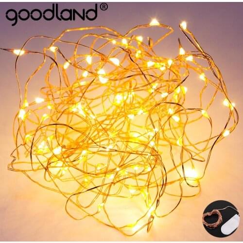 Goodland LED String Lights With Transparent Wire