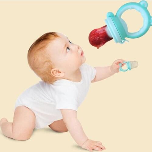 Baby Feeding Nipple Pacifier Nutrition Fruit Newborn Food Bite Supplies Take Care of Baby Solid Food Feeding