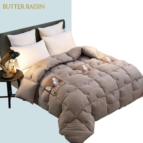 High Grade Warm Duvet Winter Down Velvet Quilt Thickened Comforter King Queen Twin Size Print Quilts Weighted Blanket Comforters